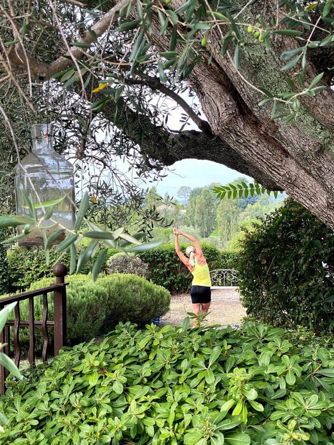 Le Manoir De L'Etang Hotell Mougins Eksteriør bilde